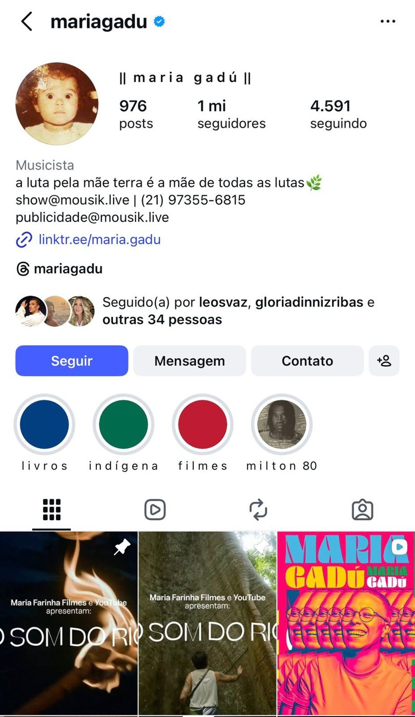 Perfil do Instagram da cantora Maria Gadú